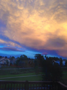 Meet your Posher, Jodi